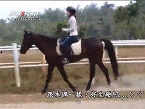 马术成人教学视频大全,全方位解析成人马术学习之路