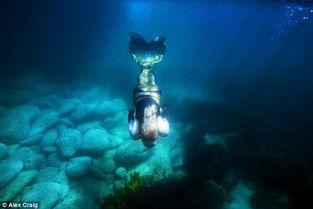 人鱼脚蹼成人能用吗视频,揭秘水下畅游的奇幻之旅