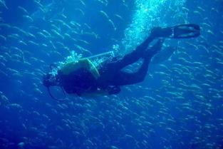 人鱼脚蹼成人能用吗视频,揭秘水下畅游的奇幻之旅