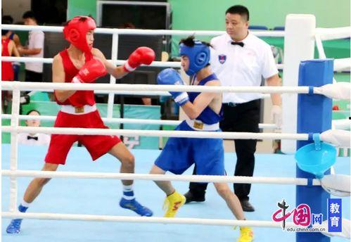 宜宾拳击成人比赛视频大全,宜宾拳击成人比赛精彩瞬间大盘点