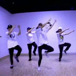 成人初级舞蹈视频