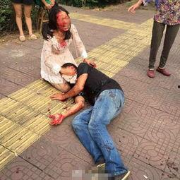 成人泥坑打架视频大全集,成人泥坑打架视频大全集精彩回顾