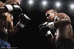 成人拳击沙袋破裂视频播放,揭秘成人拳击训练的残酷现实
