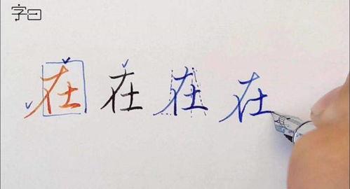 成人写字视频大全集在线,视频大全集精华回顾