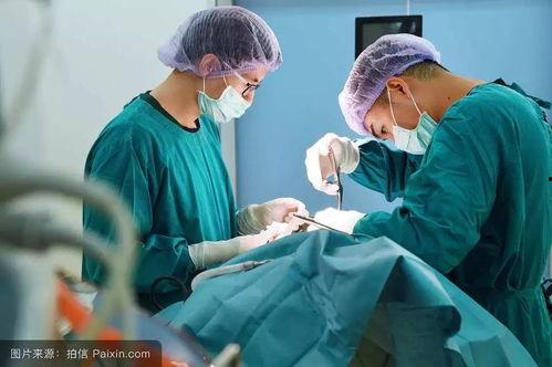 成人切除六指手术视频,医学技术的突破与患者康复之路