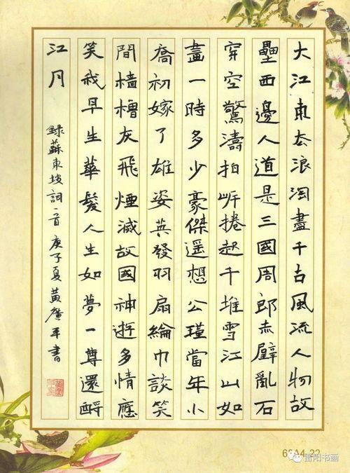 书法成人硬笔视频大全集,视频大全集精华解析