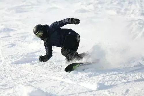 成人划雪技巧视频教程,成人划雪技巧视频教程精华解析