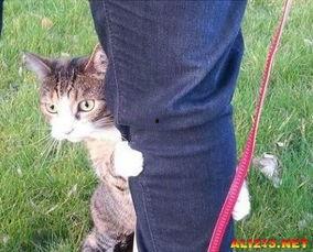 筷猫成人短视频